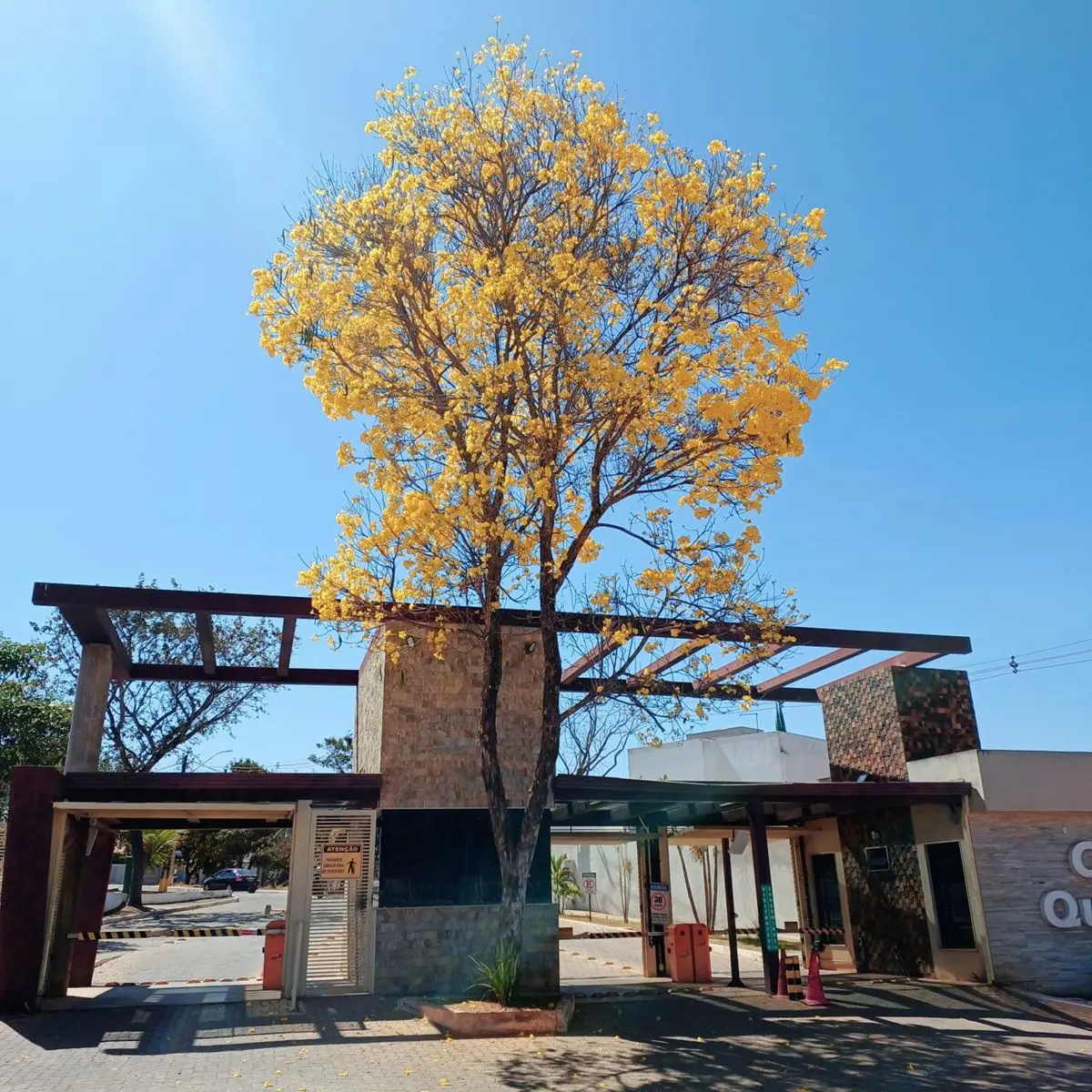  CASA EM CONDOMÍNIO FECHADO – JARDIM BOTÂNICO Uma excelente oportunidade para qu...