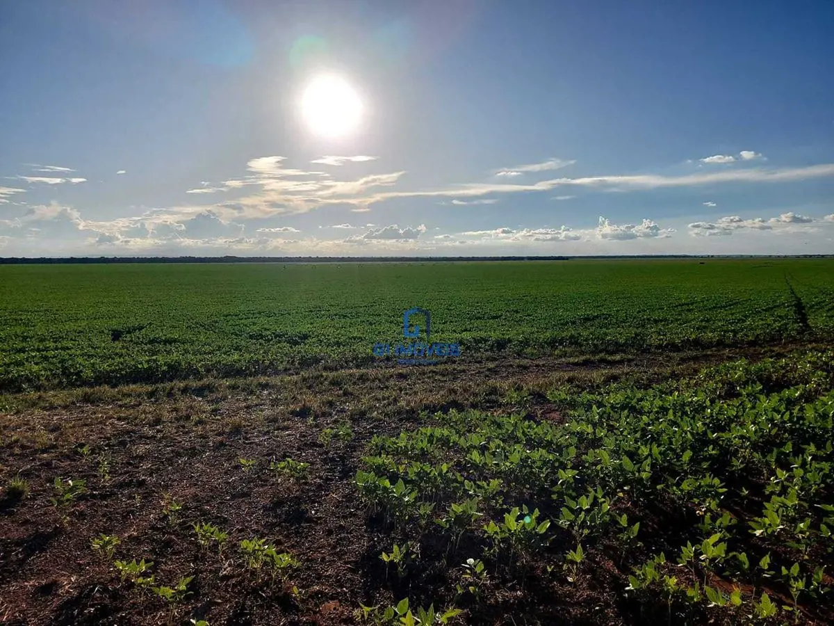 FAZENDA ENORME EM MONTES CLAROS - GO !!2 matrículas, total = 1.670 hectares, que...