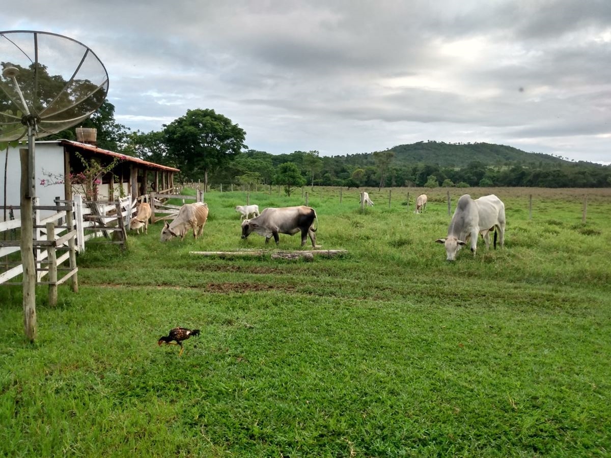 Foto do Imóvel