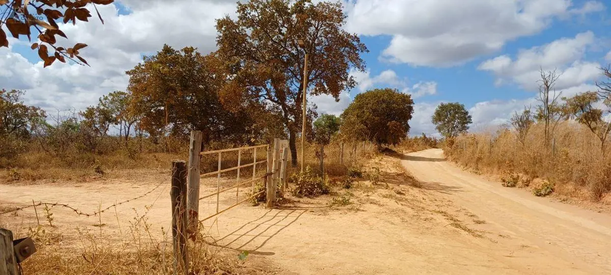 -Arrendo 20 Hectares! Com Outorga Definitiva, podendo usar 50.000 litros por dia...