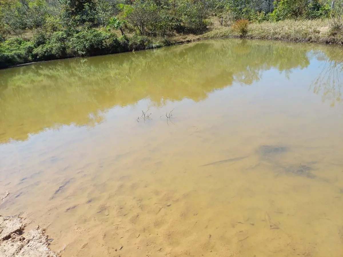 Sitio de 44 hectares em Santo Antonio do Descoberto-GO Agende sua visita: 984136...