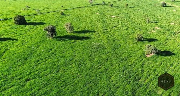 FAZENDA 320 ALQUEIRES GOIANOS (4,84) EM BARRA DO GARÇAS MT70% DELA EM PASTAGENS ...