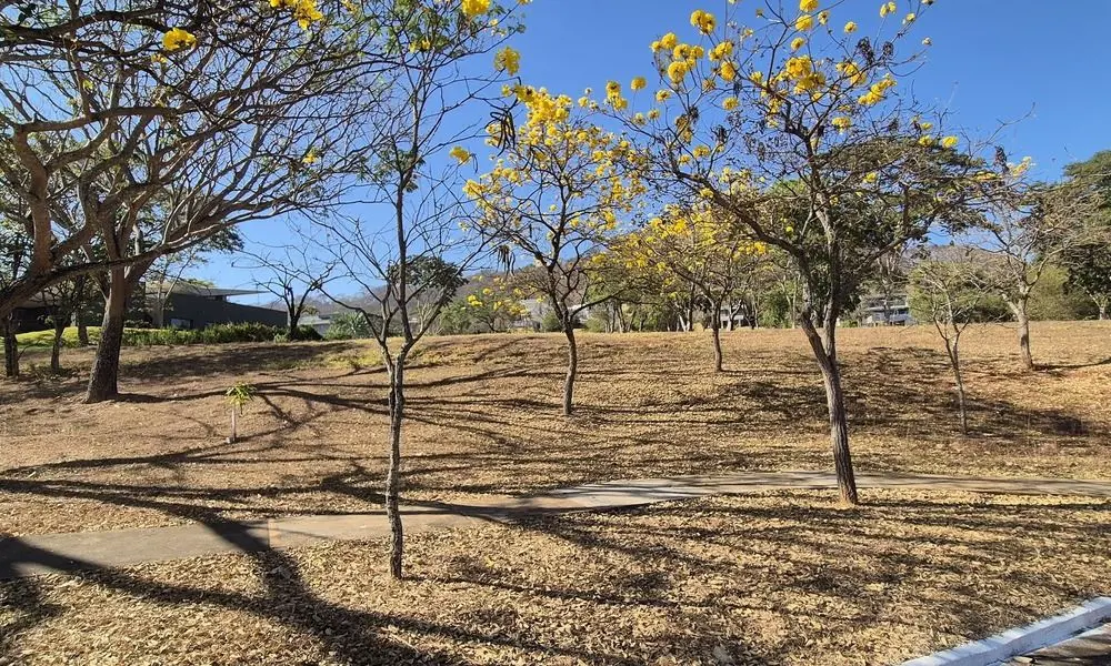 Terreno plano espetacular  com localização premium no centro do condomínio. Terr...