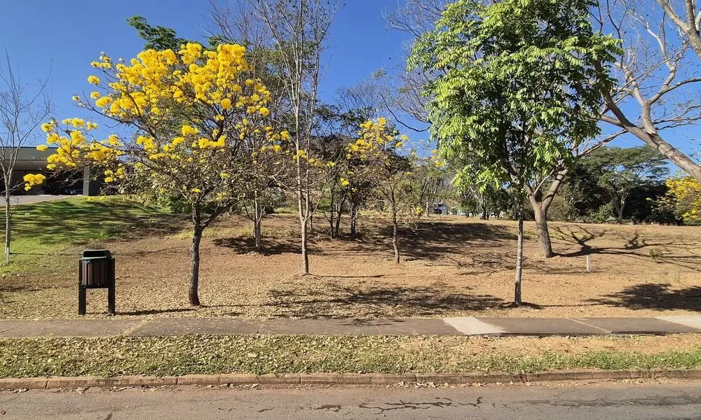 Terreno plano espetacular  com localização premium no centro do condomínio. Terr...