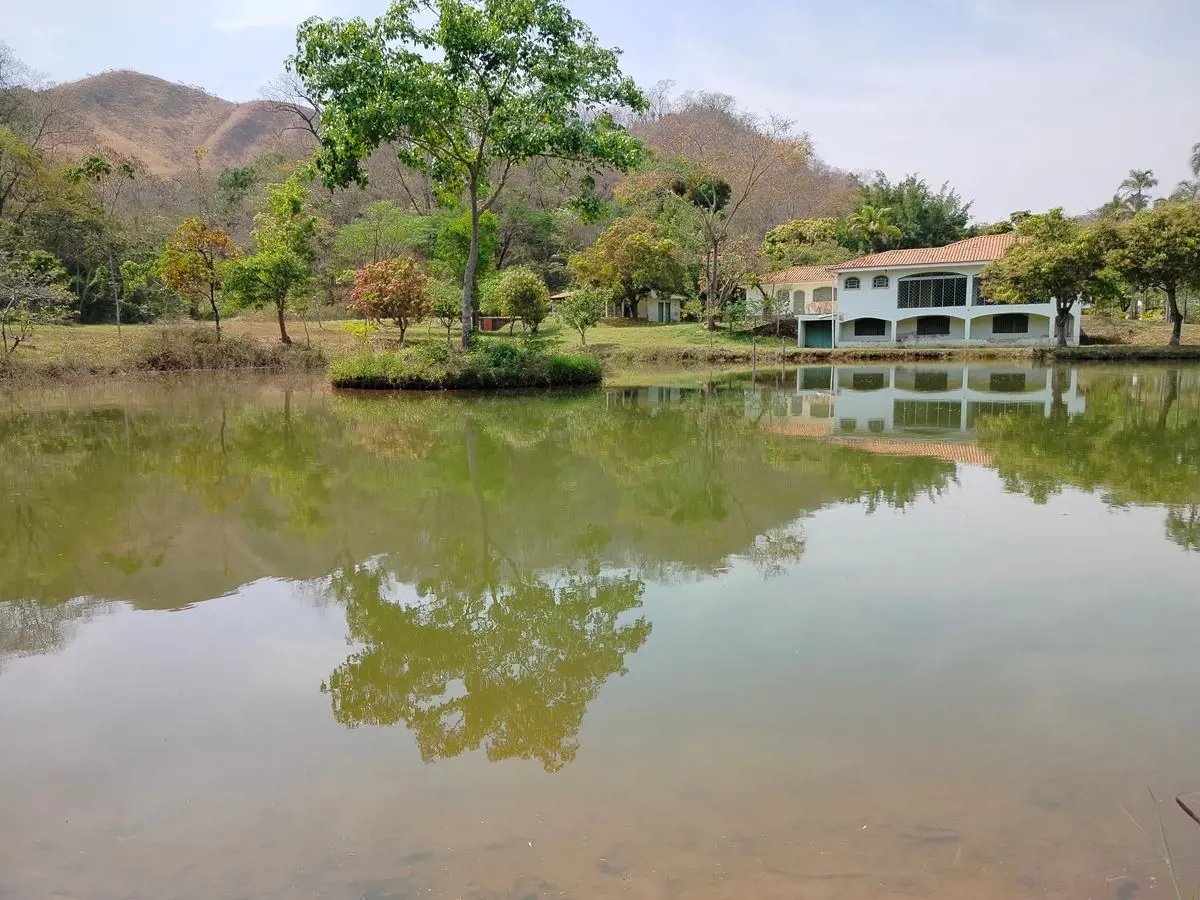 LINDA FAZENDA DE 78HECTARES,COISA DE CINEMA,RICA EM AGUA E RODEADA DE LINDAS MON...