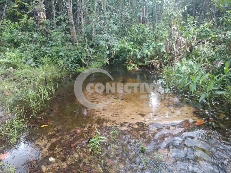  Comentários do corretor: Excelente fazenda 600 alqueires ou 2.880 hectares, dup...