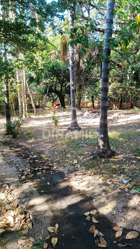 (ID 01) Chácaras à Venda no Vale do Sol, Aparecida de Goiânia!Duas propriedades ...