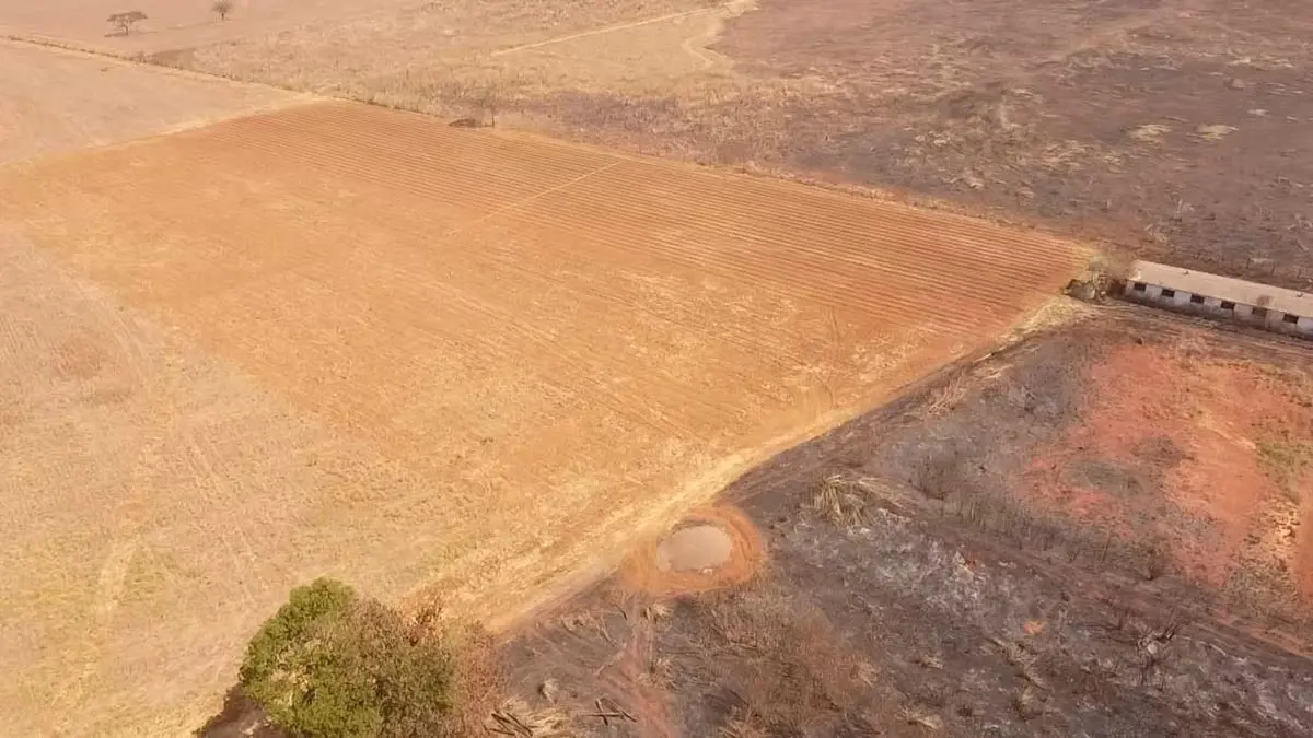 VENDOExcelente oportunidade de negócio, fazenda na beira da pista, plana, com to...