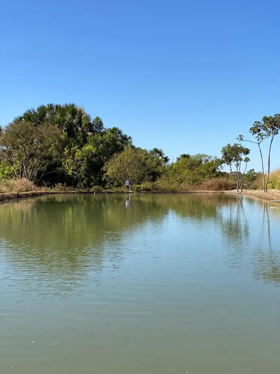 Excelente imóvel para investimento,lazer ou trabalho.Chácara de 4,3 hectares,loc...