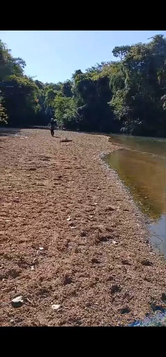 MENDONÇA VENDE COM EXCLUSIVIDADEBELISSIMA ÁREA PARTICULAR, TOTALMENTE PLANA, COM...