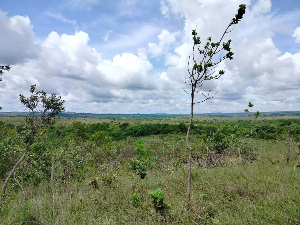 Excelente chácara de 2 hectares,escriturada e registrada.Terreno com topografia ...