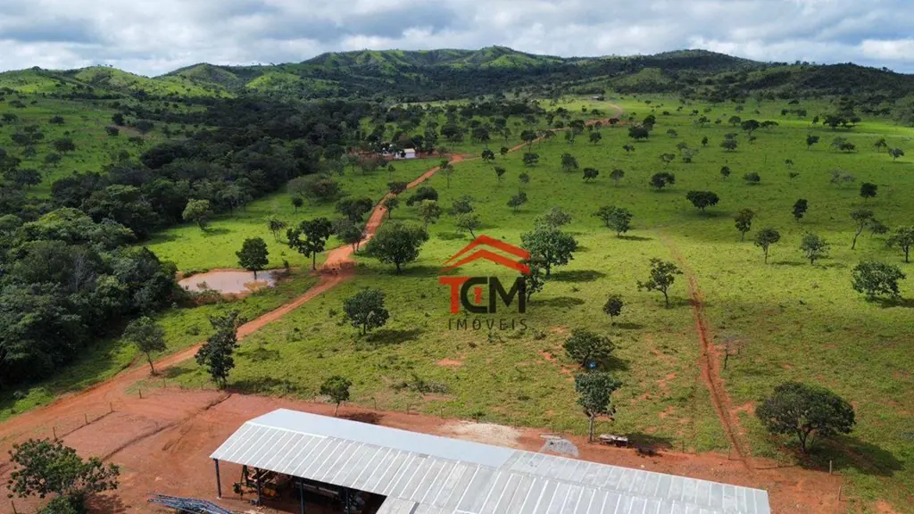 FAZENDA EM COCALZINHO GOIÁSFazenda com 168 Alqueires Goianos (813 Hectares);Muni...