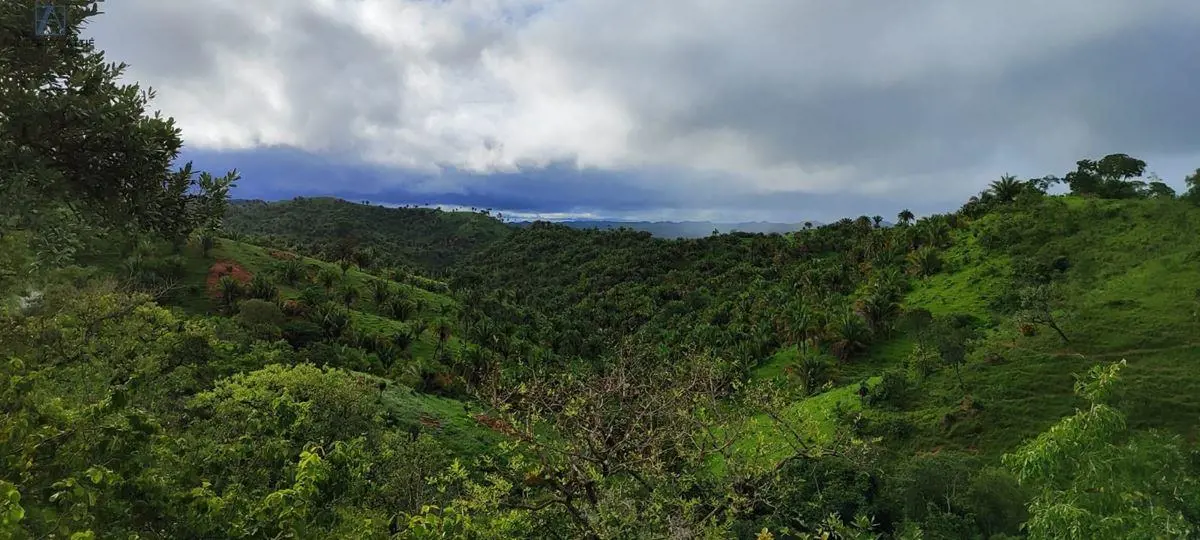 Excelente fazenda na área rural de Planaltina Goiás.CARACTERÍSTICAS:106 alqueire...