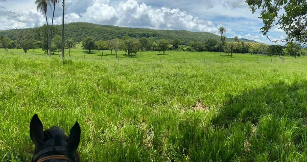 Oportunidade Imperdível: Fazenda à Venda em Formosa-GO! Descubra uma incrível fa...