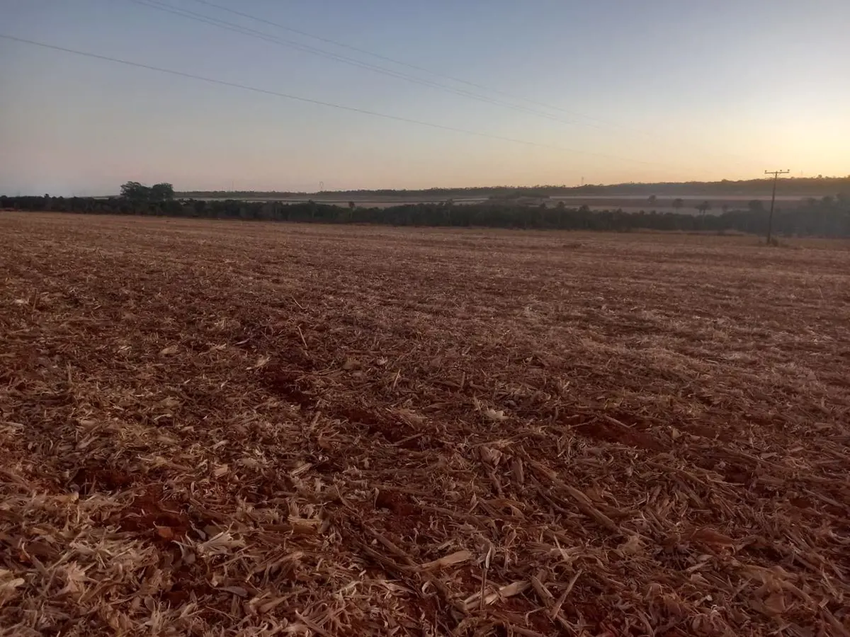 Excelente fazenda com 4.500 hectares, destes 3.000 hectares formados em capim, c...