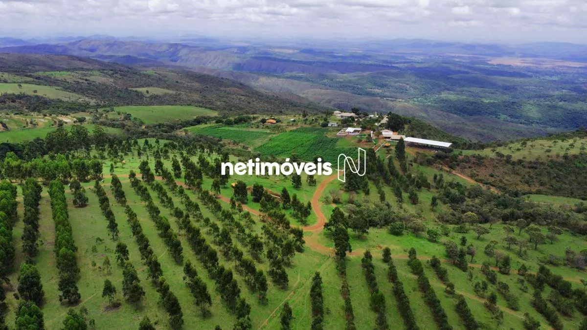  Fazenda de Alto Padrão à Venda em Monte Alto, Padre Bernardo - GO  Se você sonh...