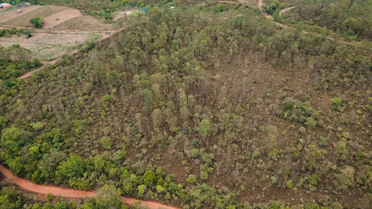 OPORTUNIDADE | PARA INVESTIR | TERRA NUASe você procura um lugar tranquilo e pró...