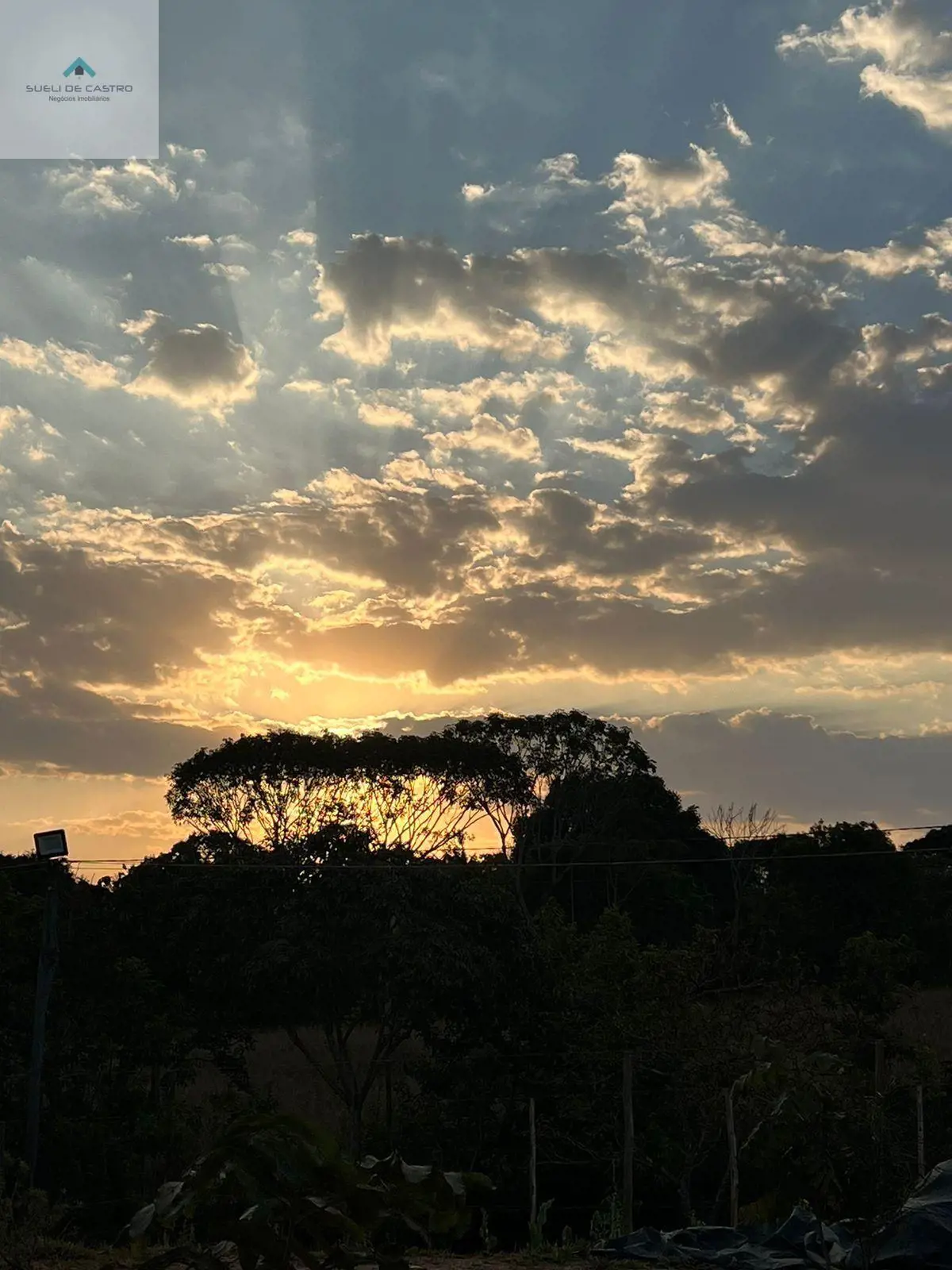 SUELI DE CASTRO NEGÓCIOS IMOBILIÁRIOS vende com Exclusividade:CHACARA A VENDA NO...