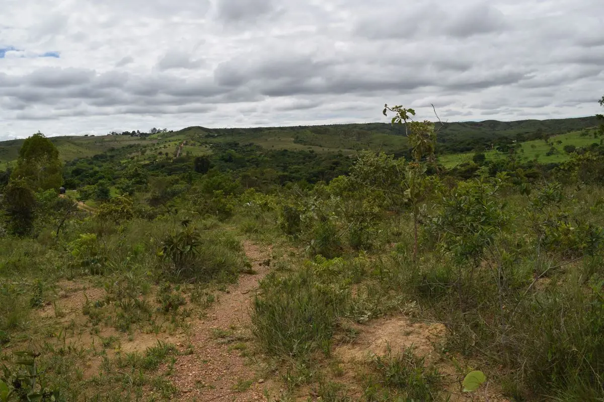Vende-se área rural com 20 hectares escriturada e registrada em Sobradinho dos M...