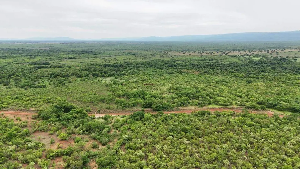 Oportunidade na Região de Flores com São João da Aliança - GOÁrea total com 50 a...