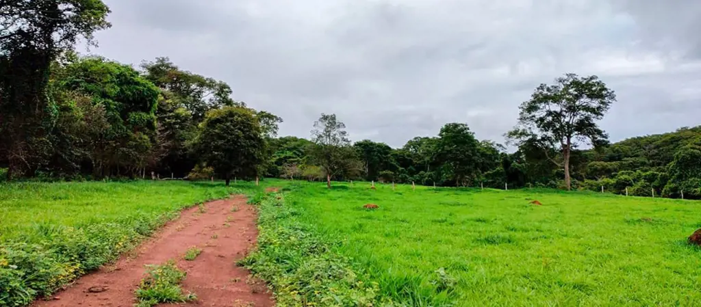 Localização:Logística excelente a 4 km de Senador Canedo a 2 KM da GO 010 e a 29...