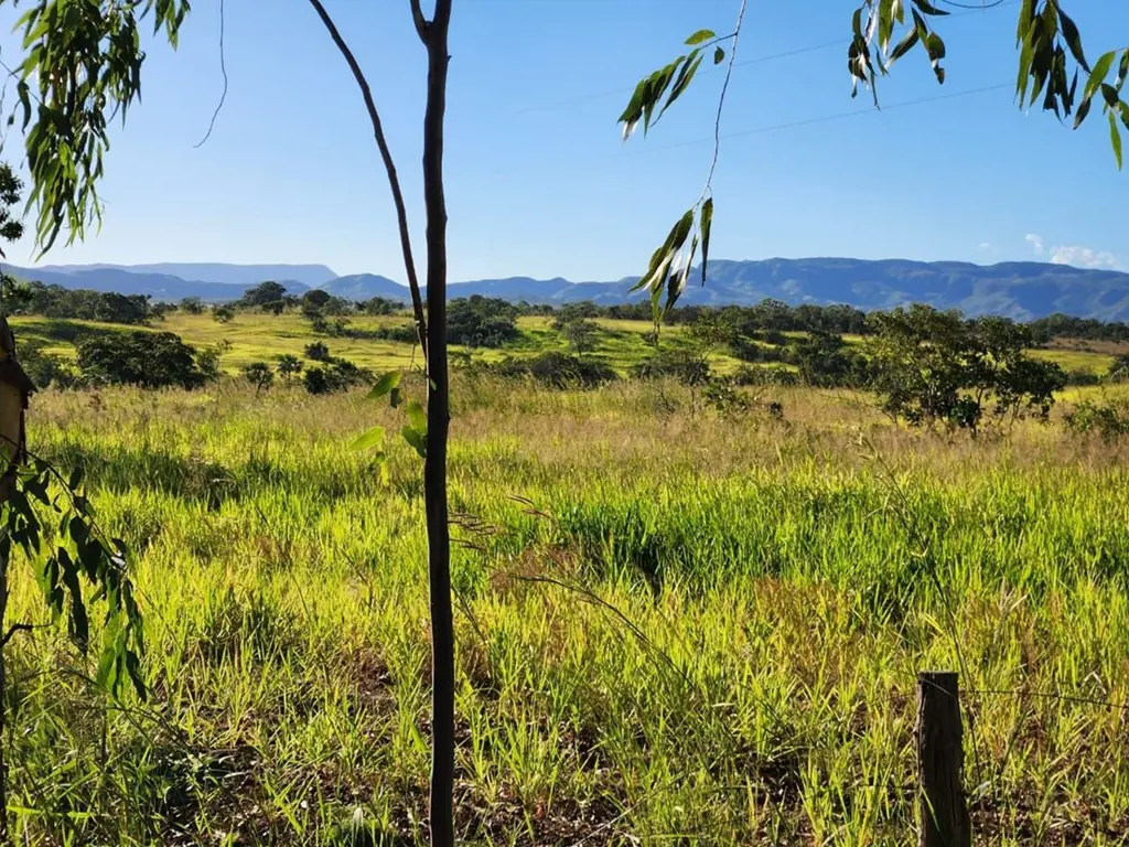 Niquelândia/ Colinas do Sul-GO.25 km da CidadeÁrea total com 232 Alqueires ou se...