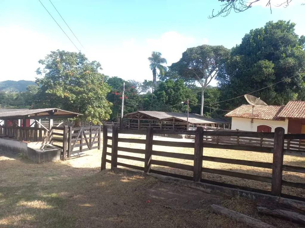 Área total com 31 alqueires ou seja 150,04 hectares. Possui plantação de eucalip...
