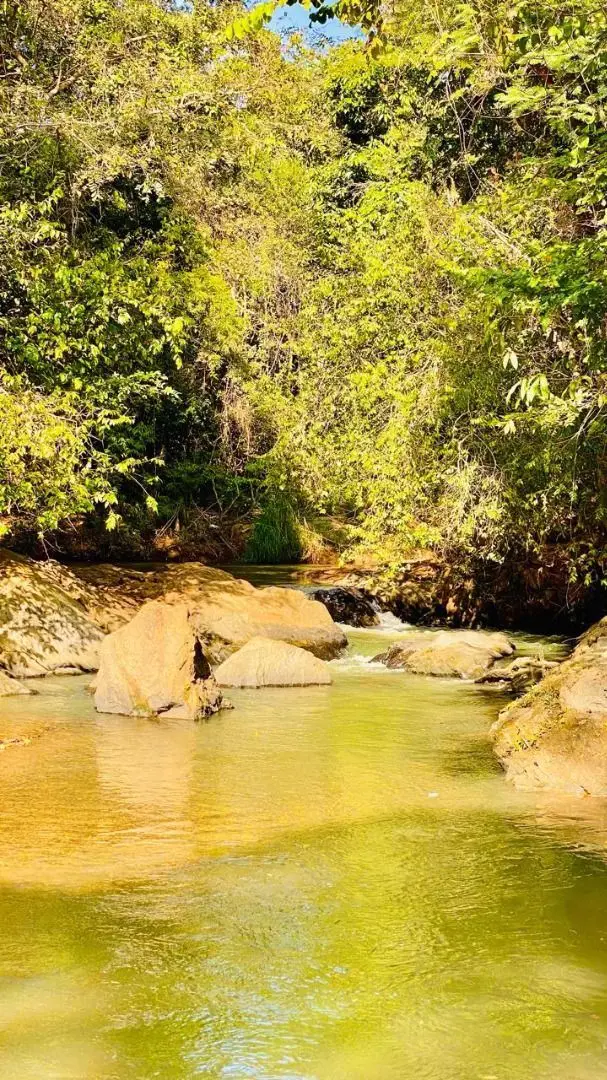 Chácara Setor Rosa dos Ventos Aparecida de Goiânia GoiásCom área total 7.829 m²....