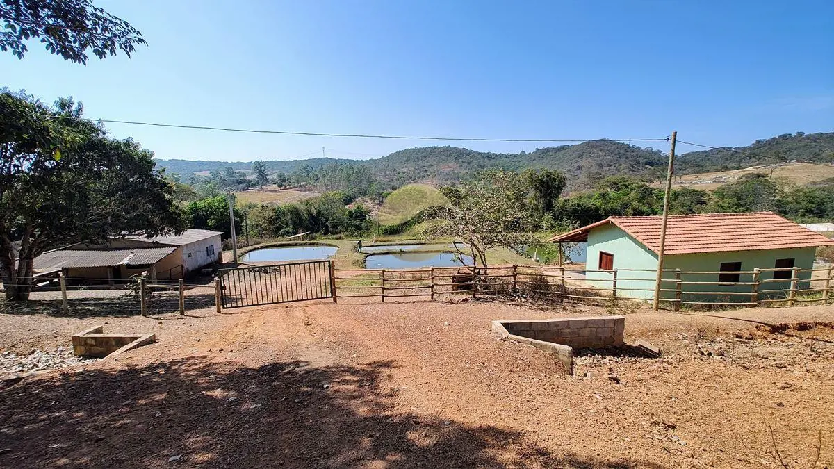 Fazenda Bela Vista:1. Vegetação preservada, mas estruturada, bem localizada em f...