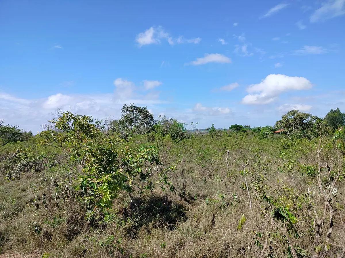 Chácara de 2 hectares, vista sensacional ,Escriturada E RegistradaGrande oportun...