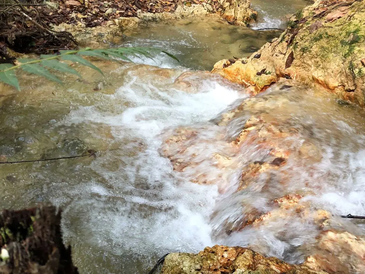 LINDA FAZENDA DE 22 HECTARES ESCRITURADA E REGSITRADA A 45 KM DO PLANOGRANDE OPO...