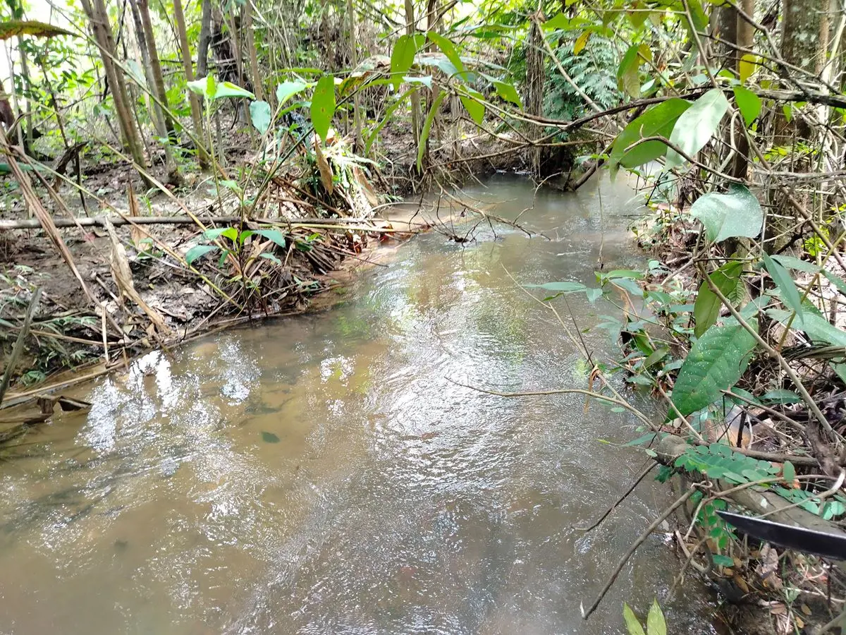 LINDA CHACARA DE 1,5 hectares,A 65 KM DO PLANO RICA EM AGUA,COM NASCENTE LINDA.C...