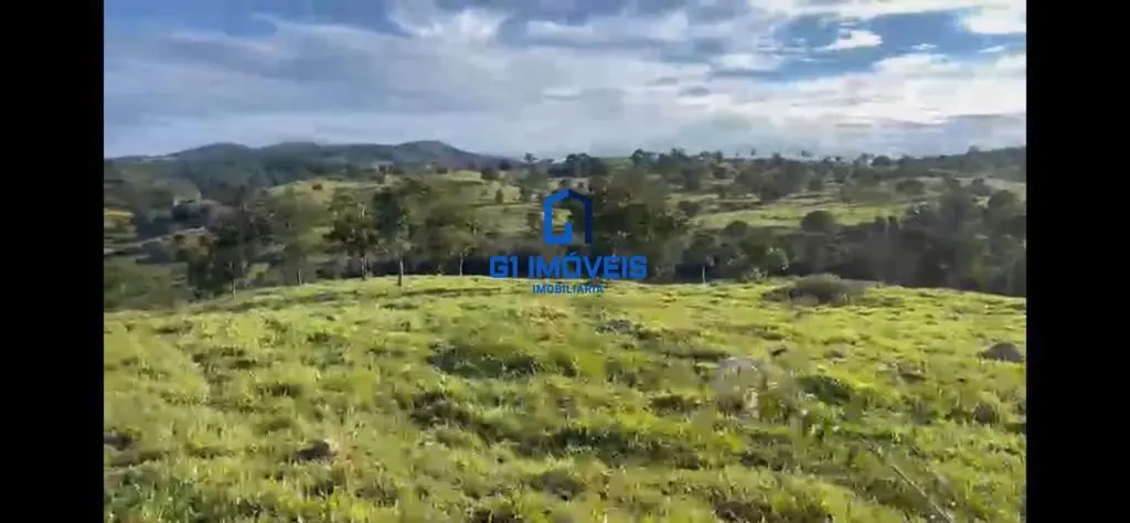 Fazenda de 13 alqueires no município de Rubiataba, saída sentido Cruzeirinho, a ...