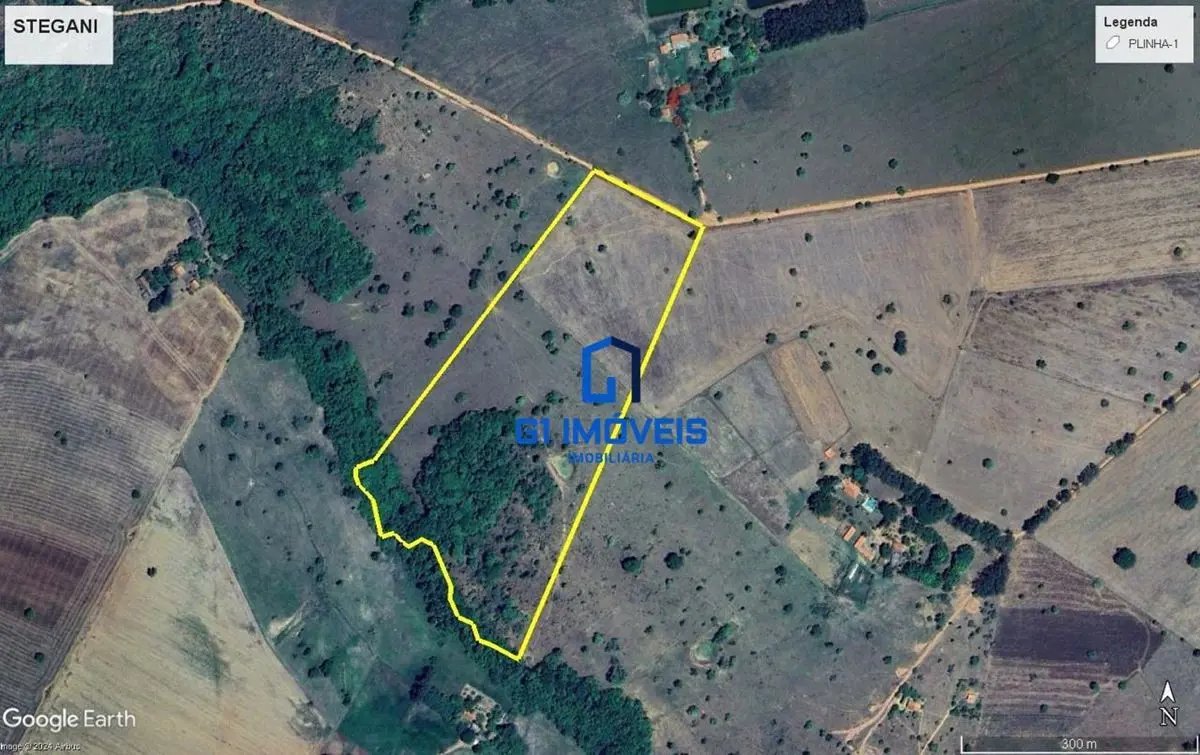 Fazenda de 10 alqueires à venda, localizada no município de Bela Vista-GO, toda ...