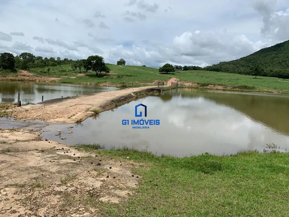Fazenda de 52 alqueires à venda, localizada no município de Uruçu-Goiás, com uma...