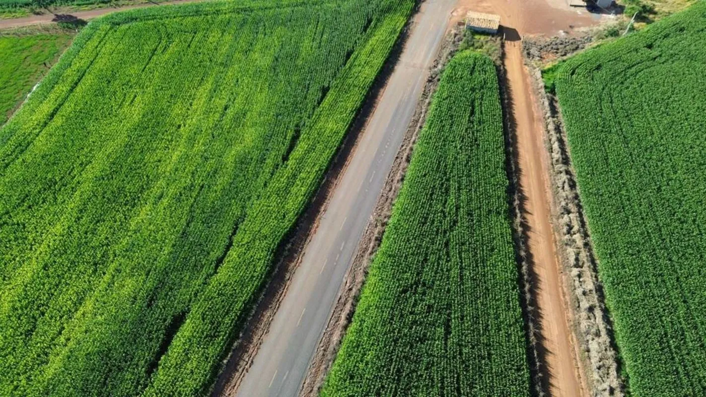 Sitio na Região de Luziânia Goiás Área total com 12 hectares ou seja 2 alqueires...