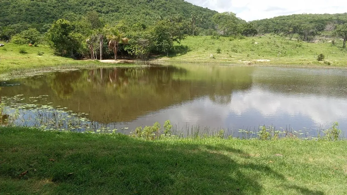 Fazenda para gado com 310 alqueires ou 1.512,40 hectares em Morro Agudo de Goiás...