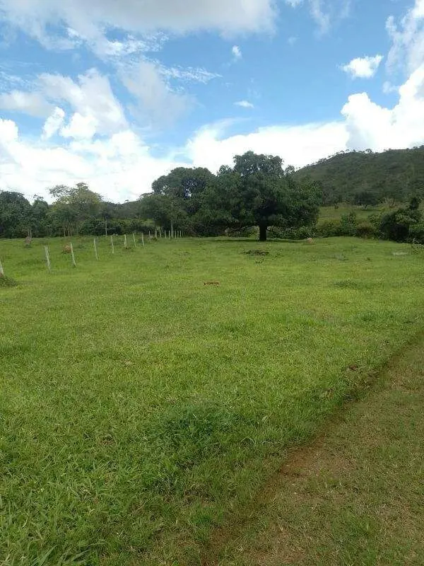 Área total com 981 hectares ou seja 202 alqueires. Excelente para pecuária com 1...