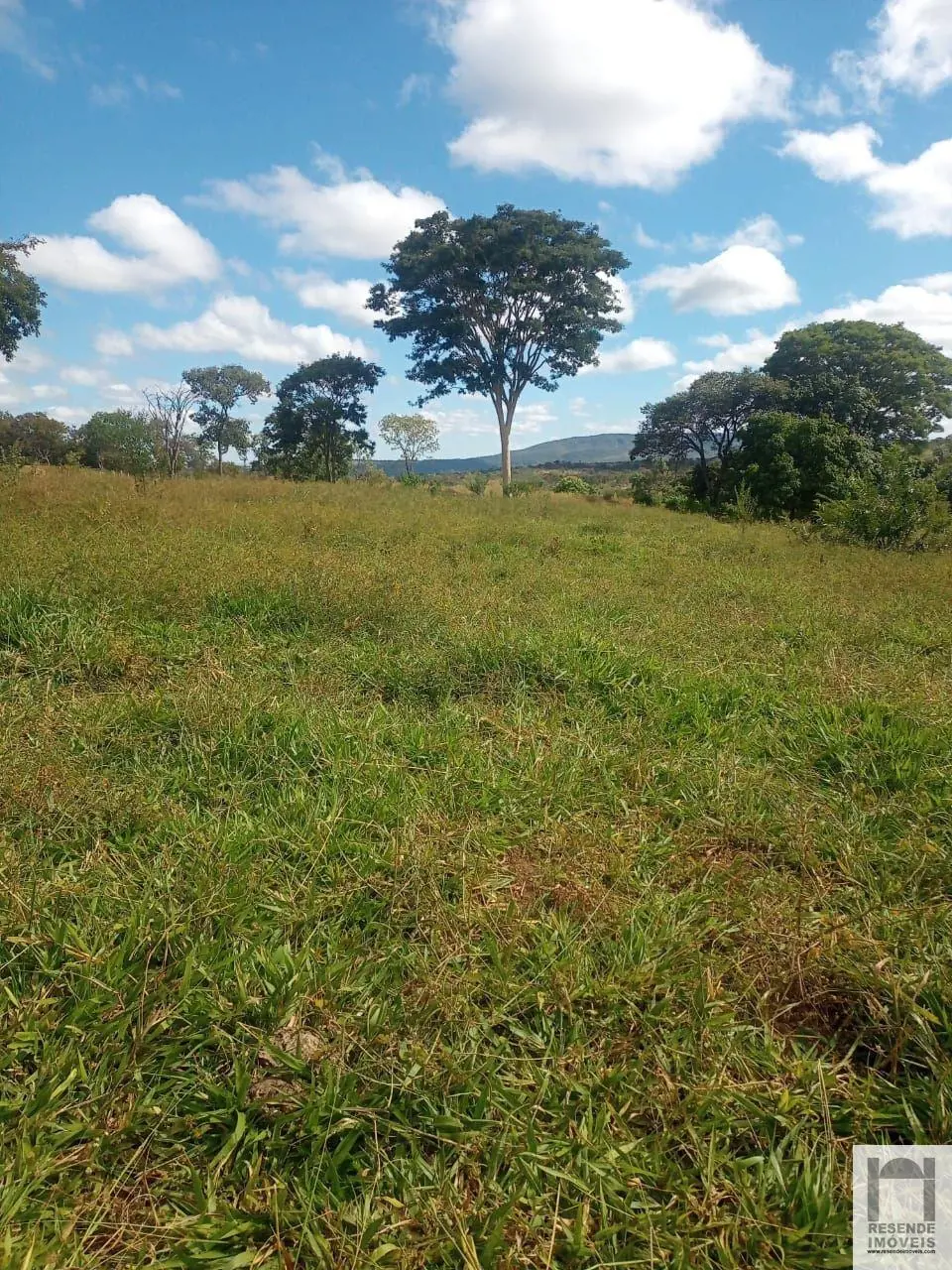 Região do Barreiro Próximo às Pamonharias do Bisnau. Dupla aptidão (pecuária e a...