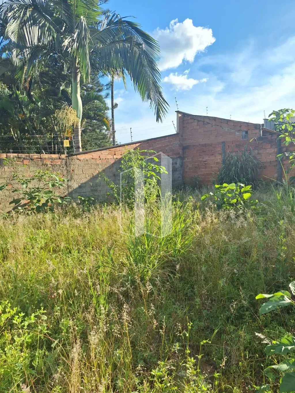 Lote de 382,50m, escorrido para frente com 15 metros de frente e fundos, no asfa...