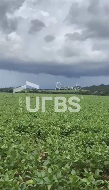 COD U-0020363 - Fazenda, Municipio Vila Propicio, 535 alqueires, podendo dividir...