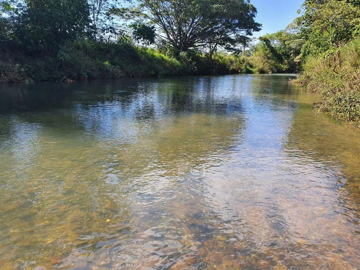FAZENDA NO MUNICÍPIO DE NIQUELÂNDIA GOIÁS.200 ALQUEIRES?? LOCALIZADA A 80 KM DE ...
