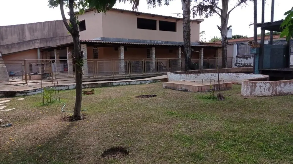 Chácara à Venda na Núcleo Rural Alexandre Gusmão – Gleba II, Chácara 126 | 1 Hec...