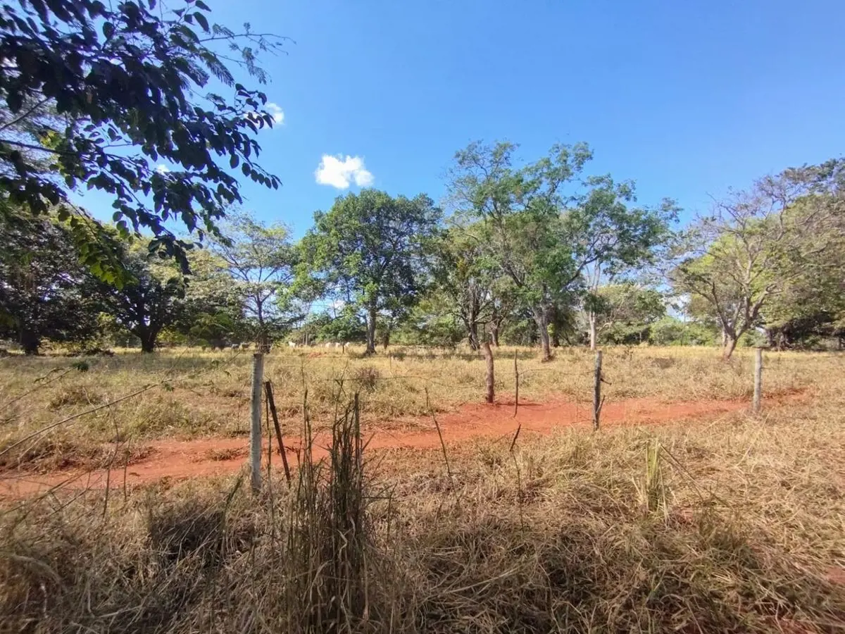 Chácaras com 1, 2 ou 3 alqueires no Km 9 Rodovia 080 entre Goiânia e Nerópolis. ...