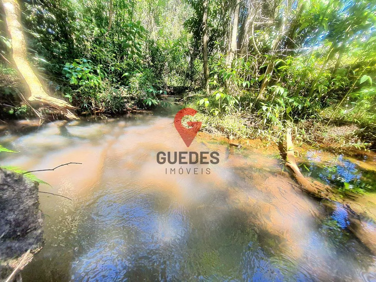 PROCURANDO UM PARAÍSO COM ÁGUA ABUNDANTE , COM MATA NATIVA , VIZINHOS DOS PÁSSAR...
