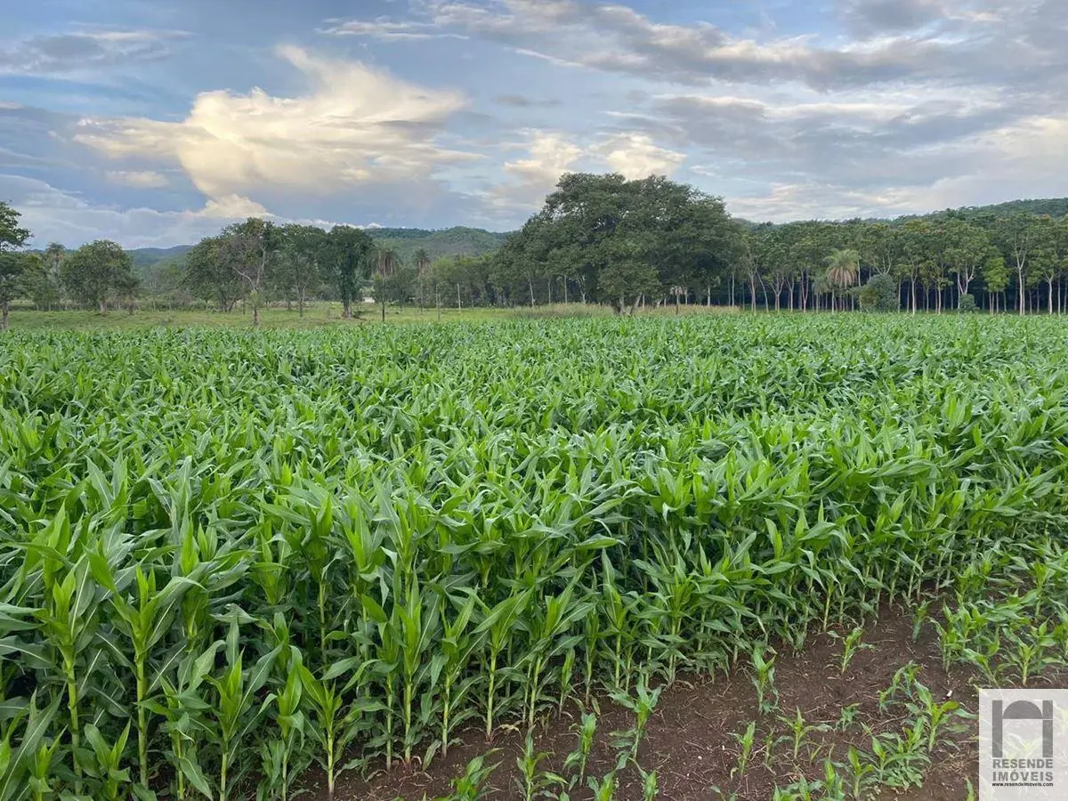 EXCELENTE FAZENDA COM 193,6 HECTARES OU 40 ALQUEIRES GOIANOS, TERRA DE PRIMEIRA ...
