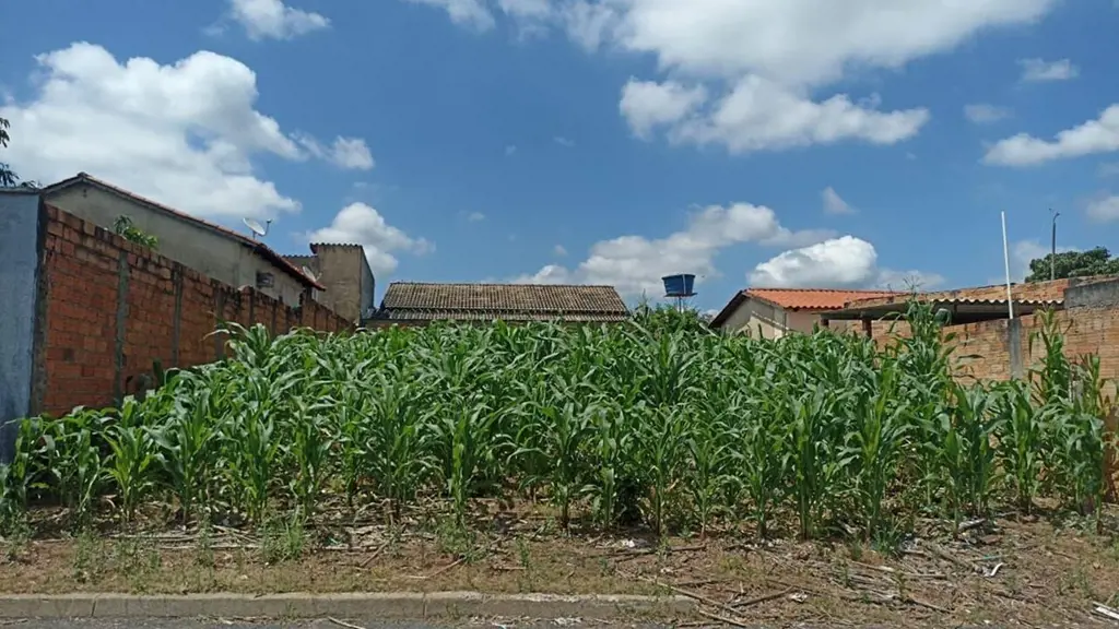 Excelente lote em Senador Canedo, com um total de 300,00 m², contendo as seguint...