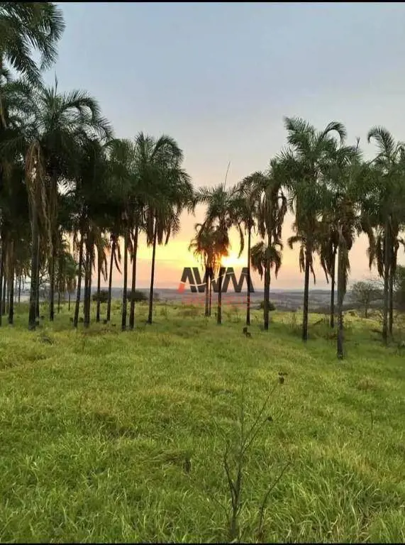 Oportunidade!!!!! 16.61 alqueires (terra ondulada), pastagem formada ( braquiarã...