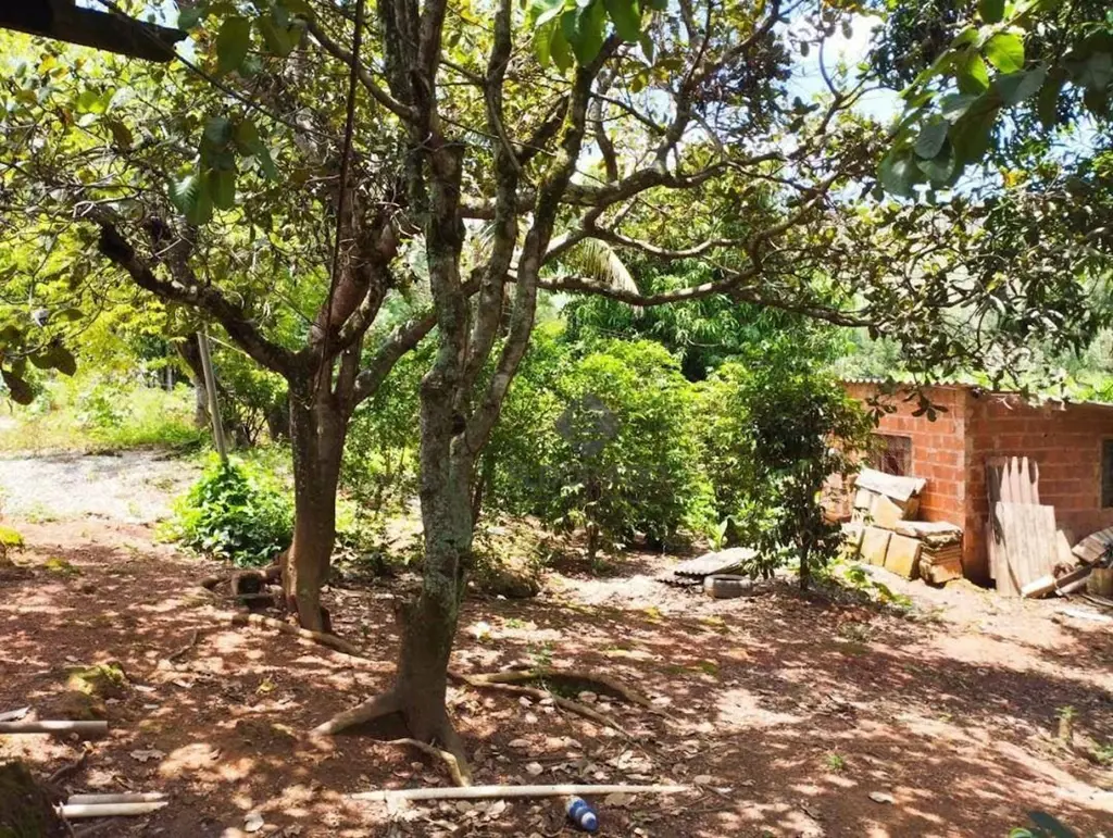 Eldorado Imobiliária apresenta: Sítio à venda no município de Padre Bernardo GOV...