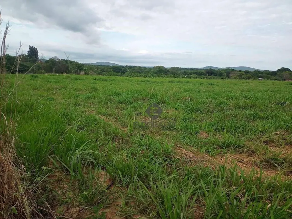 Eldorado Imobiliária apresenta: Excelente sítio à venda ou permuta no município ...